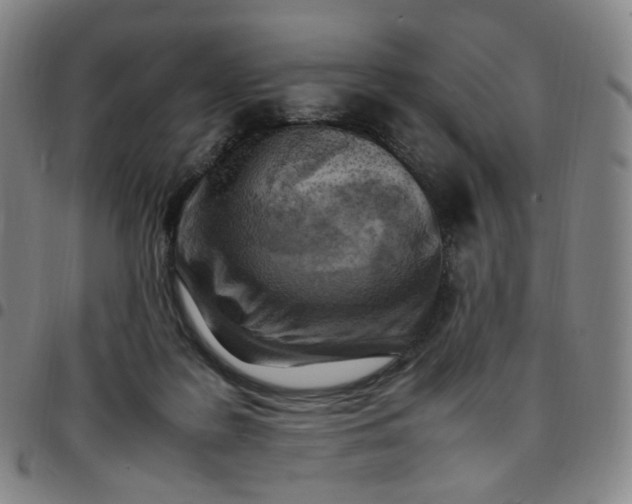 X0000097500219200803071809