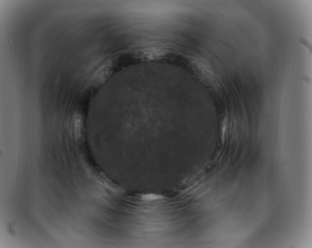 X0000097500222200803071809