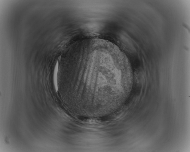 X0000097500223200803071809