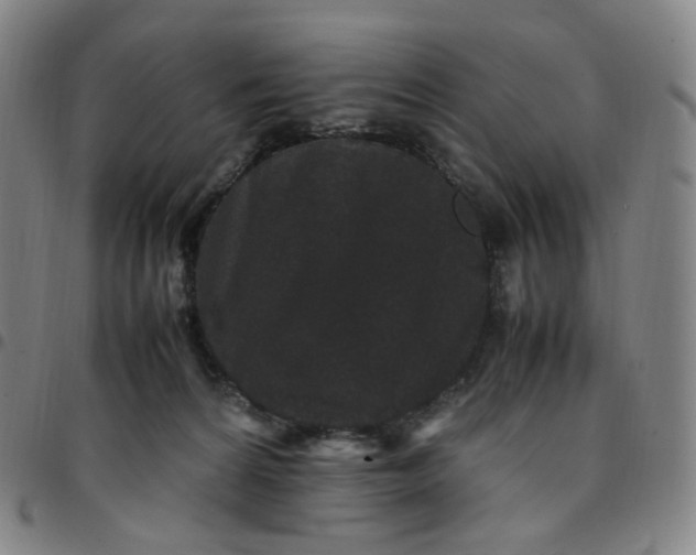 X0000097500224200803071809