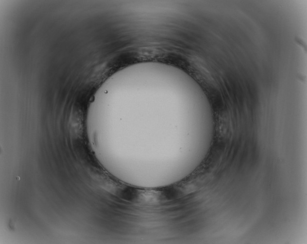 X0000097500226200803071809