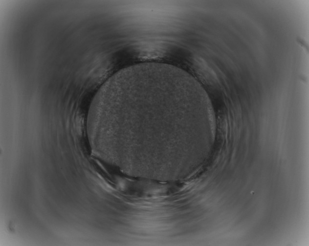 X0000097500227200803071809