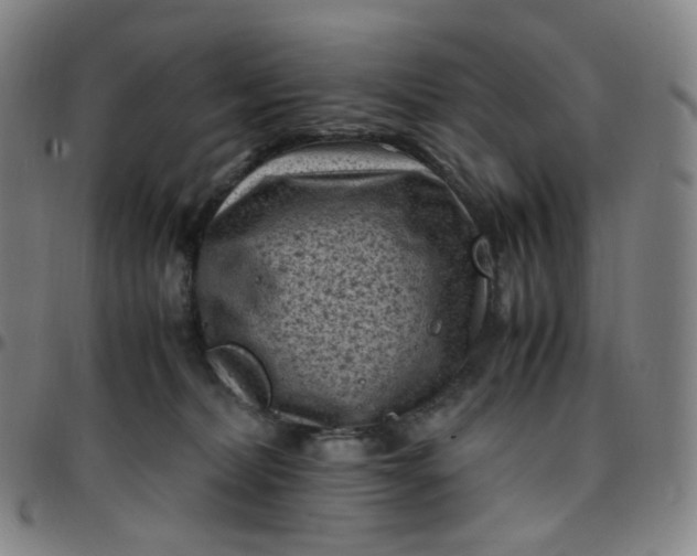 X0000097500228200803071809