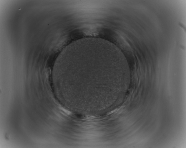 X0000097500229200803071809