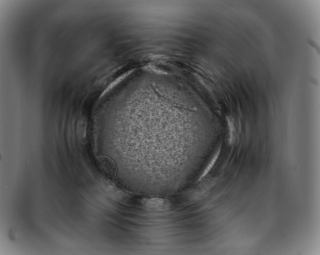 X0000097500230200803071809