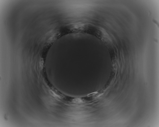 X0000097500231200803071809