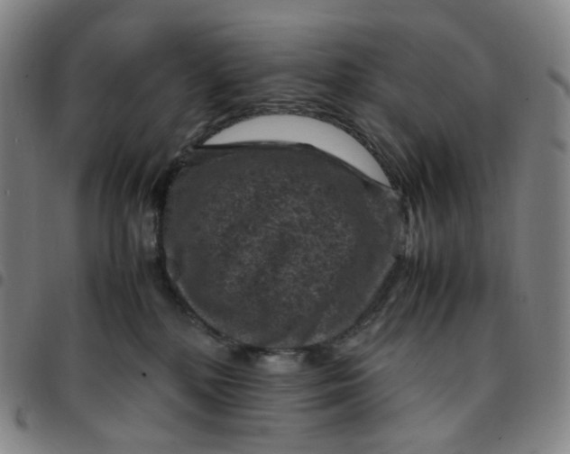 X0000097500232200803071809