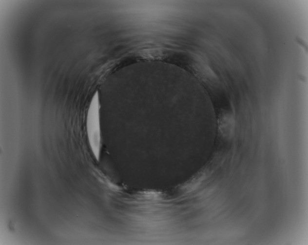 X0000097500233200803071809