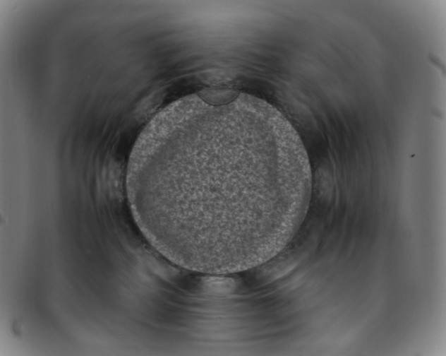 X0000097500234200803071809