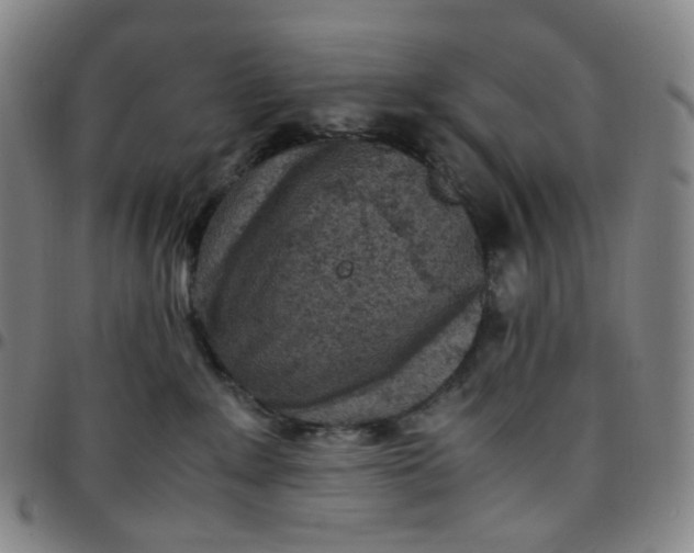 X0000097500235200803071809