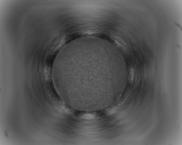 X0000097500236200803071809