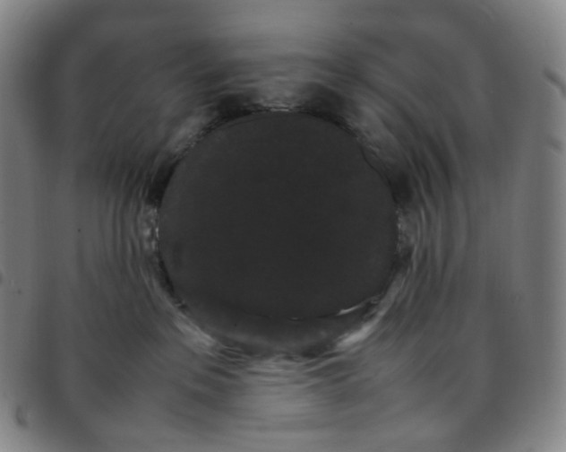 X0000097500237200803071809