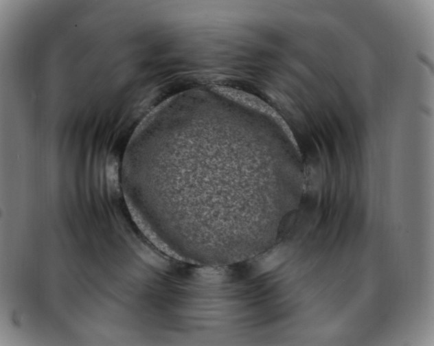 X0000097500238200803071809