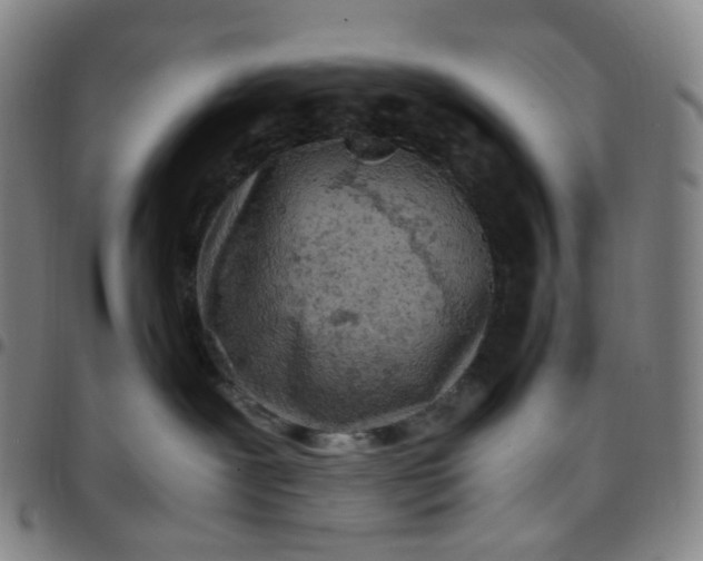 X0000097500239200803071809