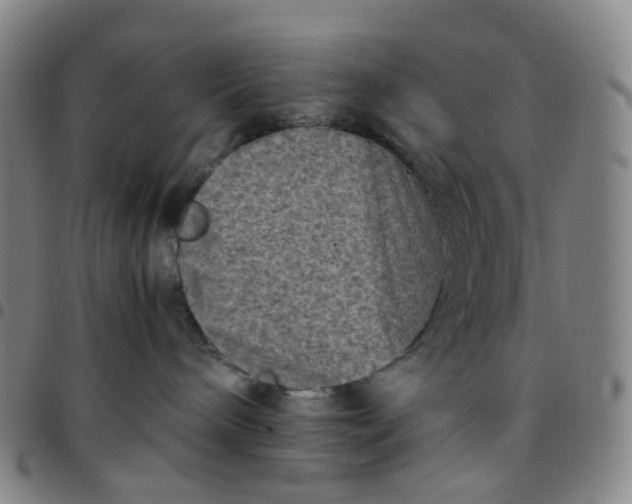 X0000097500240200803071809