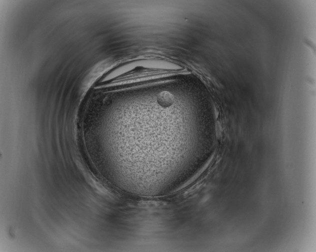 X0000097500242200803071808