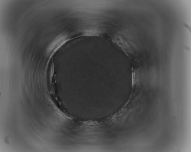 X0000097500243200803071808