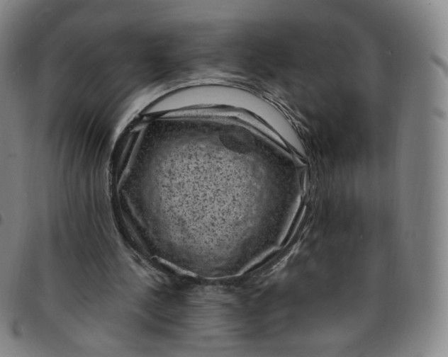 X0000097500244200803071808