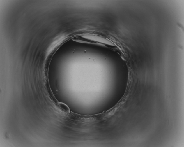 X0000097500245200803071808