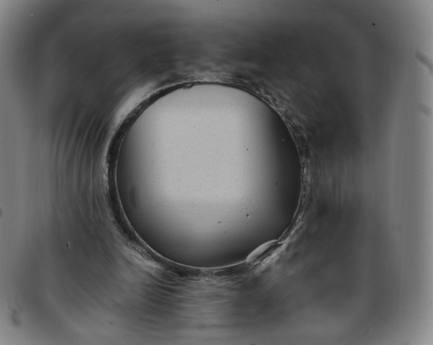 X0000097500246200803071808