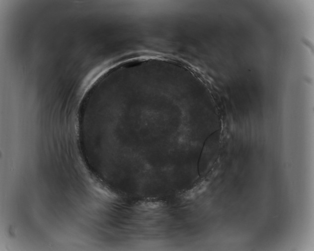 X0000097500247200803071808