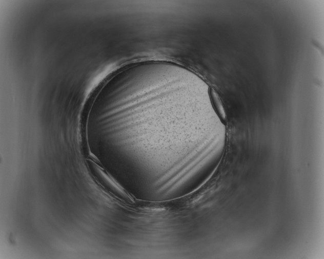 X0000097500248200803071808