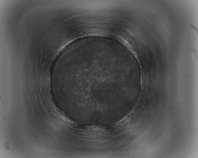 X0000097500249200803071808