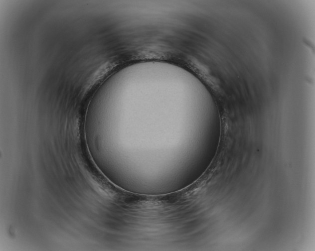 X0000097500250200803071808