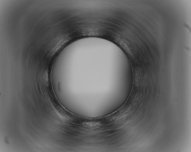 X0000097500251200803071808