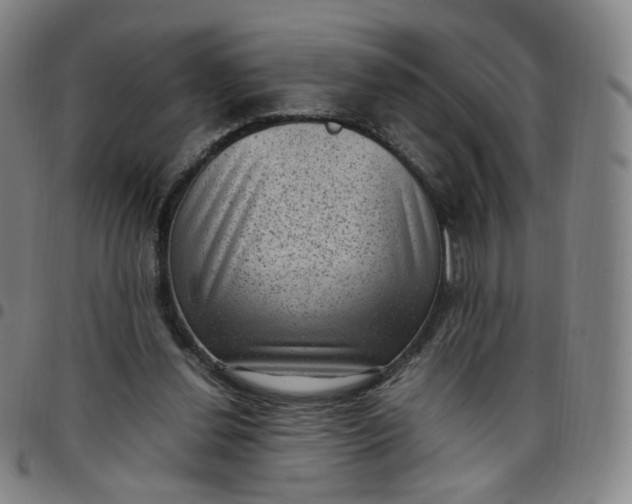 X0000097500252200803071808