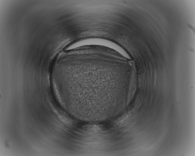 X0000097500254200803071808