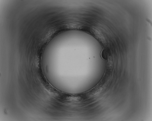 X0000097500255200803071808