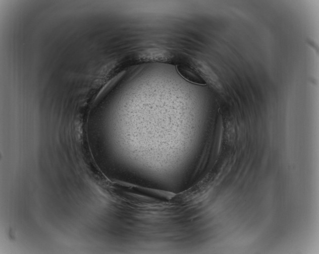 X0000097500259200803071809