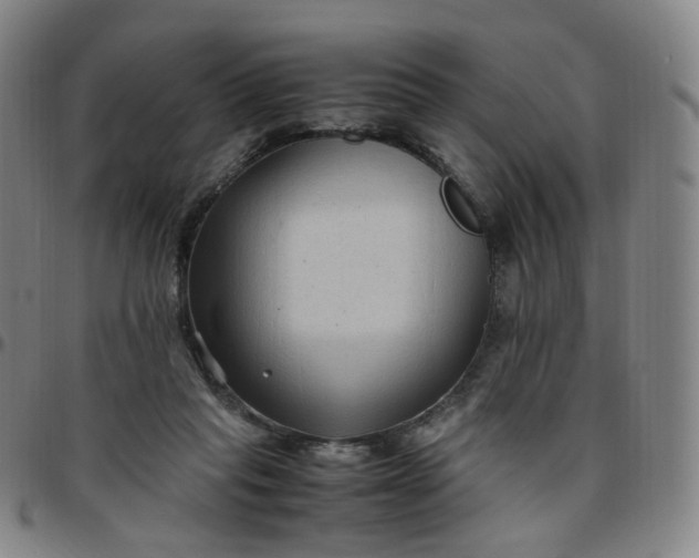 X0000097500261200803071809