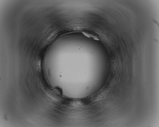 X0000097500262200803071809