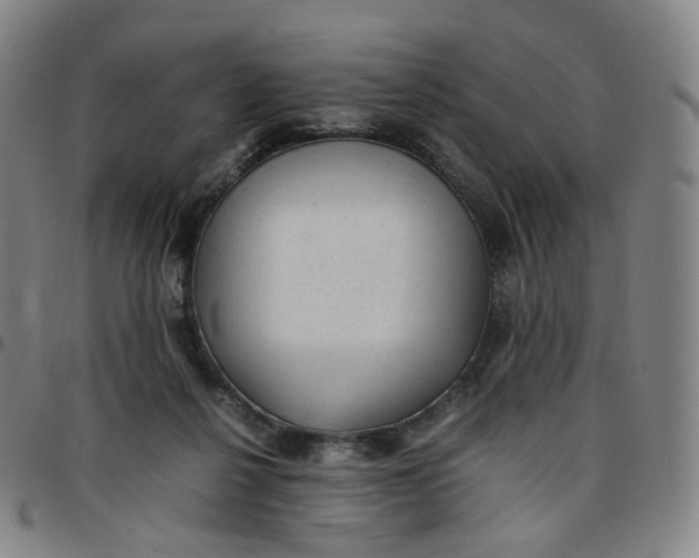 X0000097500264200803071809