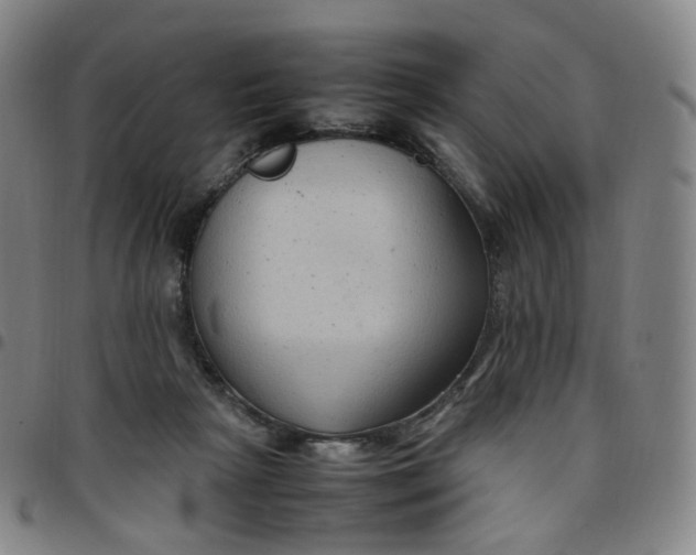 X0000097500265200803071809