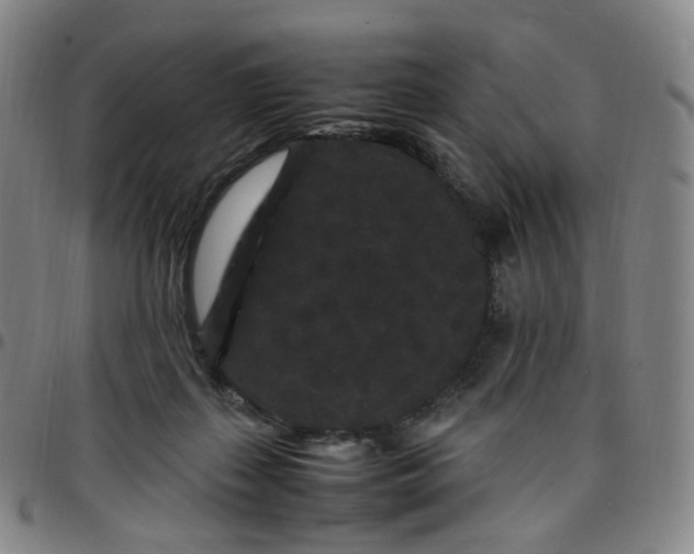 X0000097500267200803071809