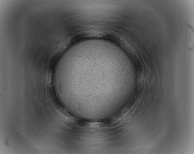 X0000097500268200803071809