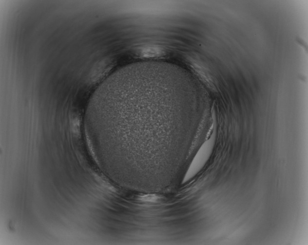 X0000097500269200803071809