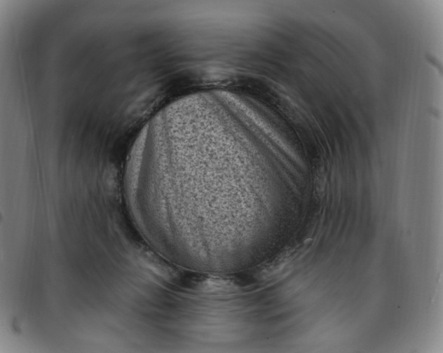 X0000097500270200803071809