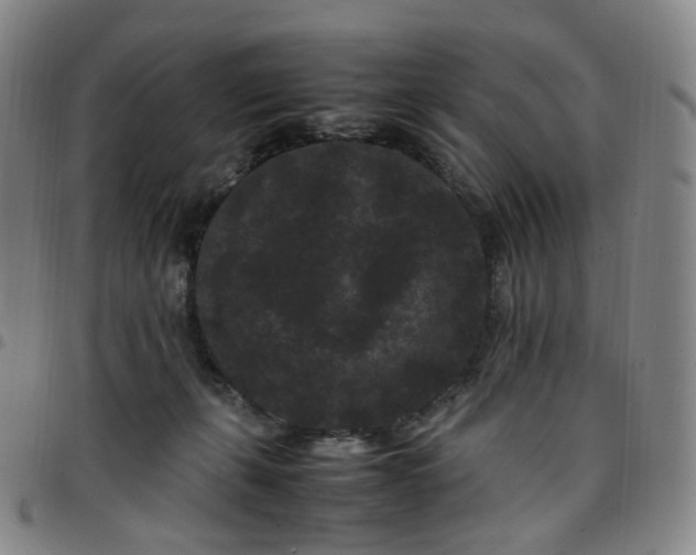 X0000097500271200803071809