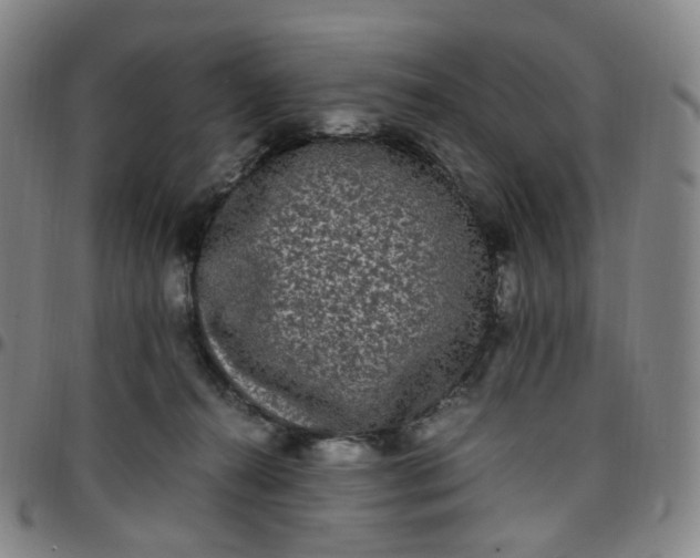 X0000097500272200803071809