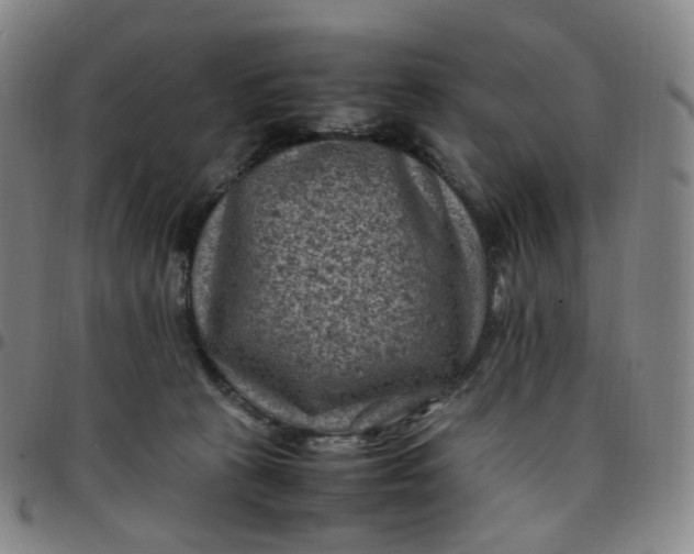 X0000097500273200803071809