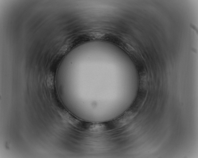 X0000097500274200803071809