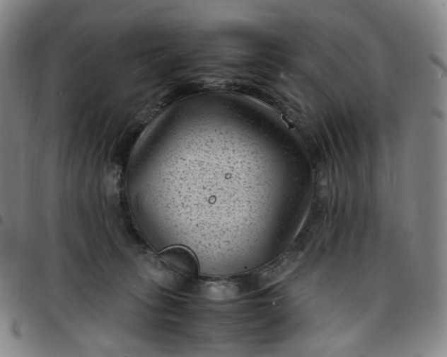 X0000097500275200803071809