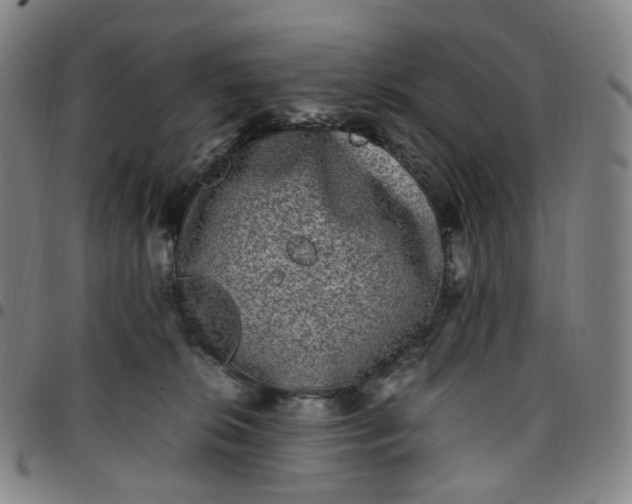 X0000097500276200803071809