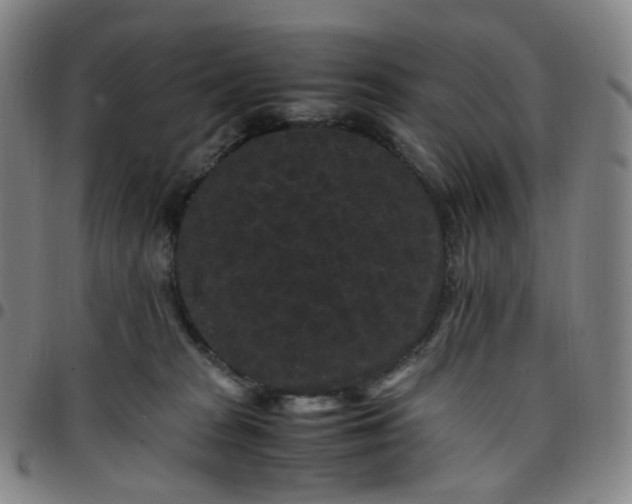 X0000097500277200803071809