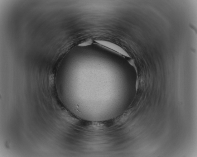 X0000097500278200803071809