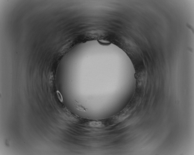 X0000097500279200803071809